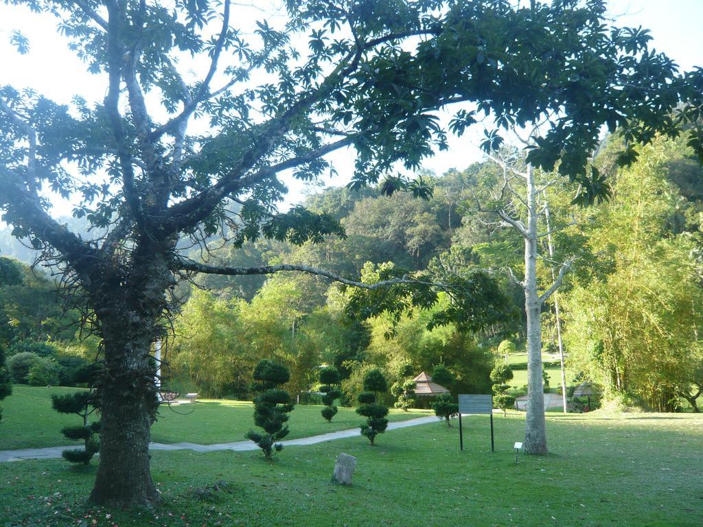 Cozy Mount Erskine Homestay George Town Buitenkant foto