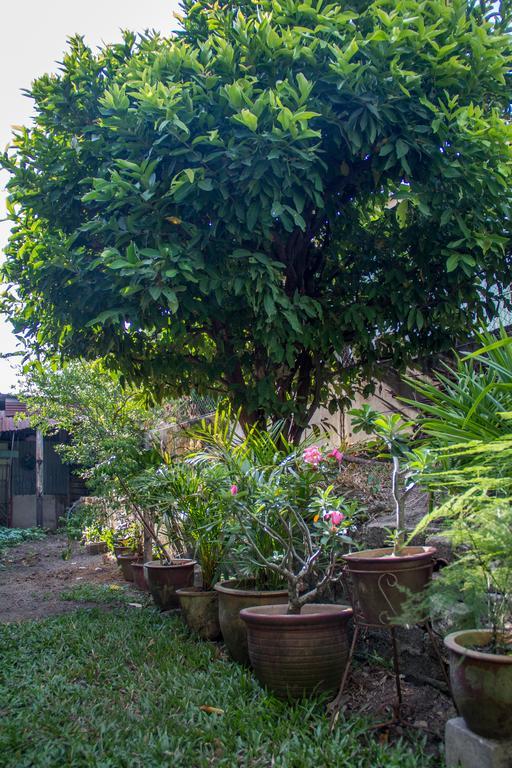 Cozy Mount Erskine Homestay George Town Buitenkant foto